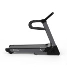 Беговая дорожка SHUA SH-T3900A